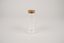 A118PM Box of 12 glass tubes D4.5cm H13cm