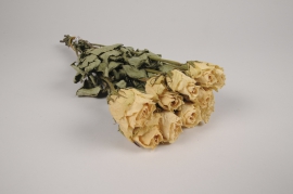 a120wg Cream dried roses H39cm