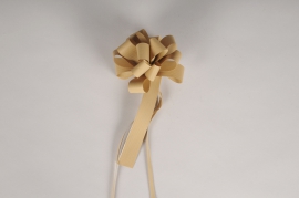 A124RB Boîte de 30 noeuds auto beige 19mm