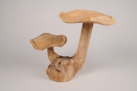 a124wg Natural double teak mushroom H29cm