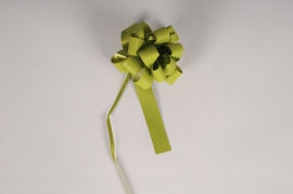 A125RB Boîte de 30 noeuds auto vert olive 19mm