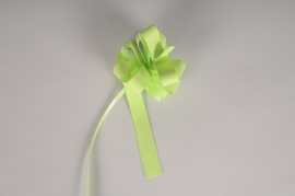 A127RB Box of 30 light green automatic knots 19mm