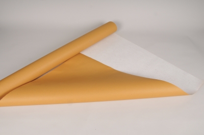 A129QX Rouleau de papier kraft �cologique curry 80cmx40m