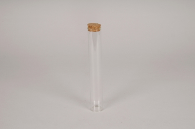 A132PM Bo�te de 6 pipettes en verre D3cm H20cm