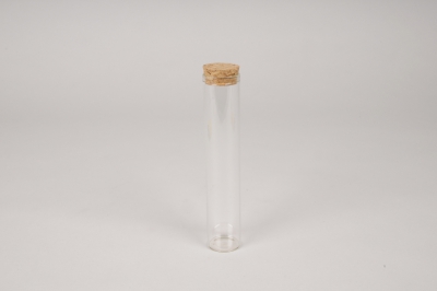 A133PM Bo�te de 6 fioles en verre D3cm H15.5cm