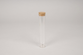 A133PM Box of 6 glass pipettes D3cm H15.5cm