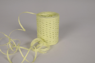 A137RB Bobine de raphia de papier vert clair 200m