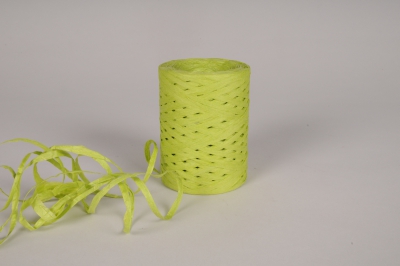 A138RB Roll of green paper raffia 200m