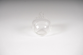 A151PM Boîte de 12 boules ouvertes en verre D6cm