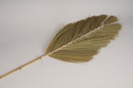 a166wg Natural dried grass palm H132cm