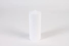 A170E2 Boîte de 8 bougies cylindres blanches D7.5cm H20cm
