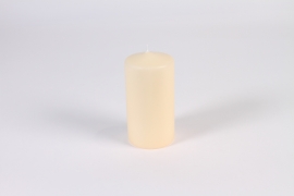 A171E2 Boîte de 8 bougies cylindres ivoire D7.5cm H15cm