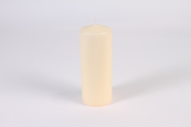 A172E2 Boîte de 8 bougies cylindres ivoire D7.5cm H20cm