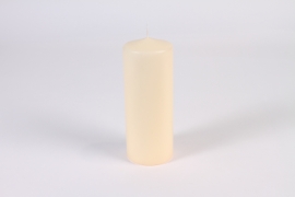 A172E2 Box of 8 candles ivory cylinder D7.5cm H20cm