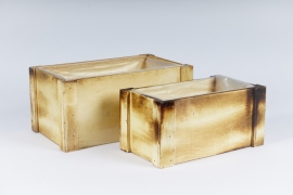 A173MZ Set de 2 jardinières en bois 