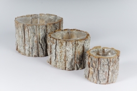 A176MZ Set of 3 bleached wooden bark planter 