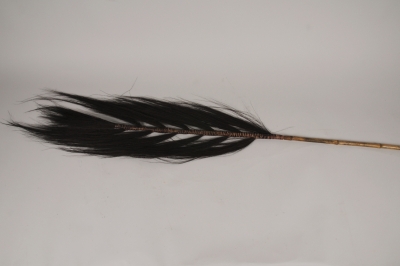 a178wg Palme de gramin�e s�ch�e marron fonc� H150cm