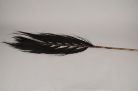a178wg Palme de graminée séchée marron foncé H150cm