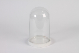 A181PM Cloche en verre avec plateau bois D13.5cm H21.5cm