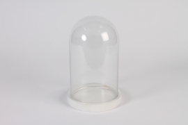 A181PM Glass dome with wooden tray D13.5cm H21.5cm