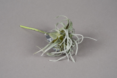 a190nn Tillandsia artificiel vert H17cm