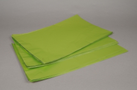 A199BD Paquet de 50 sachets papier métal  vert pomme 20x35cm