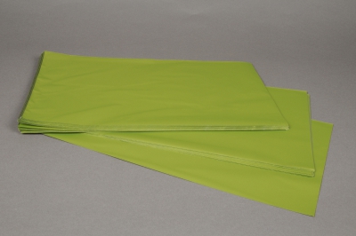 A204BD Paquet de 50 sachets papier m�tal vert pomme 25x40cm