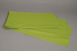 A204BD Paquet de 50 sachets papier métal vert pomme 25x40cm