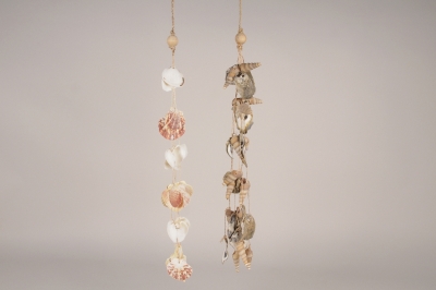 a212wg Assorted shells garland L56cm