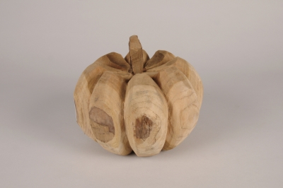 a221wg Citrouille en teck D18cm H17cm