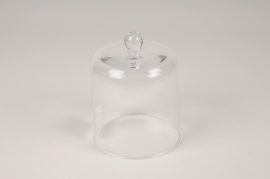 A238W3 Glass dome D10.5cm H13cm