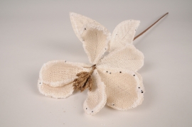 a240wg Magnolia en jute beige H72cm