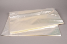 A246MO Pack of 250 cellophane sheets 60cm x 80cm