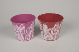 A249Y8 Assorted zinc planter D12cm H10.5cm