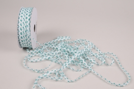 A250UN Ruban galon vert d'eau 5mm x 25m