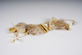 a256wg Placuna shells and driftwood garland L66cm