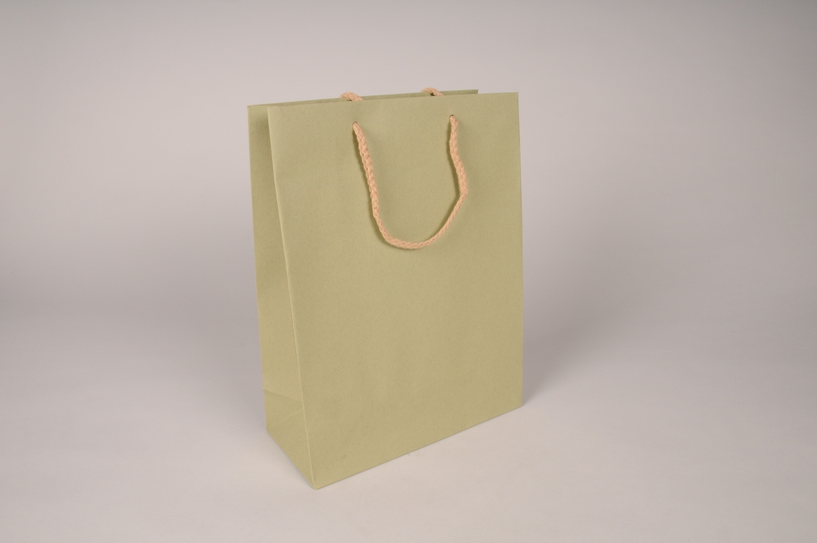 Paquet de 12 sacs kraft vert 22x10cm H29cm