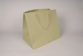 A276IV Bag of 12 green kraft bags 35x25cm H32cm