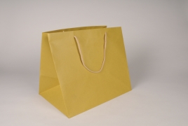 A277IV Paquet de 12 sacs kraft jaune 35x25cm H32cm