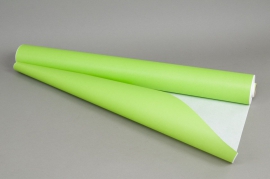 A278QX Rouleau de papier kraft blanc / vert pomme 0,8x50m