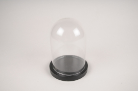 A281I0 Glass dome with wooden tray D12cm H16cm