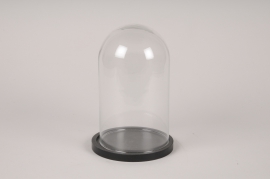 A282I0 Glass dome with black wooden tray D14cm H22cm