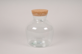 A321I0 Terrarium en verre D20cm H23.5cm