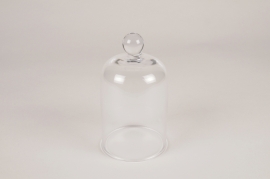 A332W3 Cloche en verre D8cm H14cm