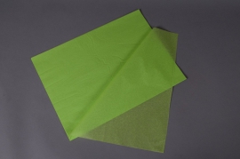 A381QX Paquet de 480 feuilles papier de soie vert pomme 50x75cm
