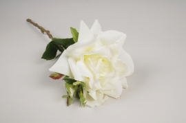 a388nn Rose artificielle blanche H50cm