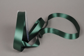 A397UN Green satin ribbon 25mm x 50m