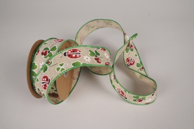 A411UN Ribbon fabric with ladybird pattern 40mm x 10m