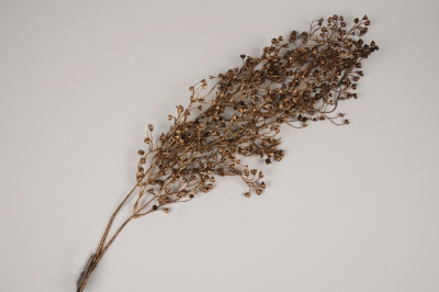 a450nn Senecio artificiel cuivre H97cm