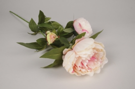 a468nn Cream and pink artificial ramified peony H70cm